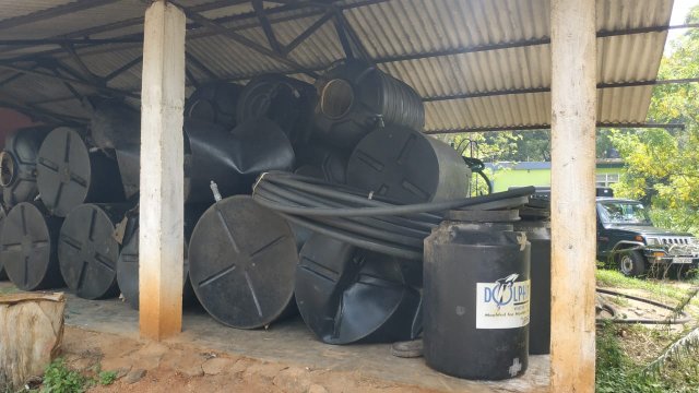 ඩෙංගු මර්ධන වැඩසටහන 2020 මැයි