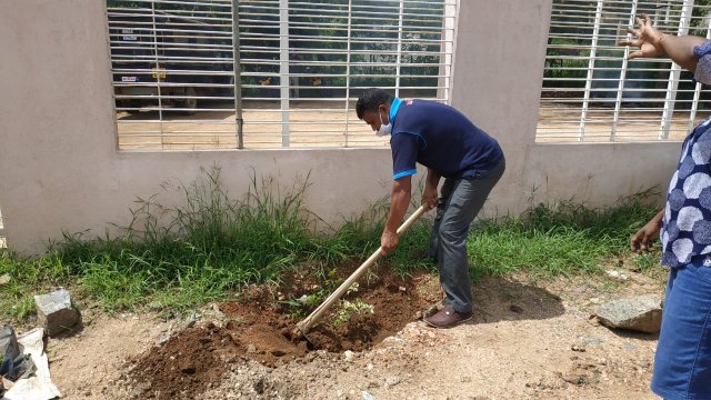 ඩෙංගු මර්ධන වැඩසටහන 2020 මැයි