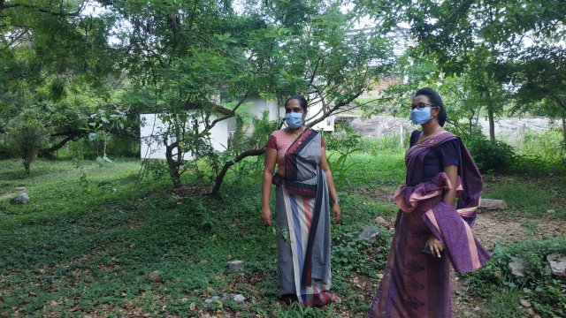 ඩෙංගු මර්ධන වැඩසටහන 2020 මැයි