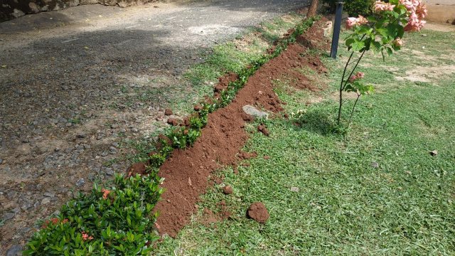 ඩෙංගු මර්ධන වැඩසටහන 2020 මැයි