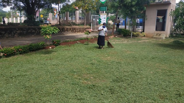 ඩෙංගු මර්ධන වැඩසටහන 2020 මැයි