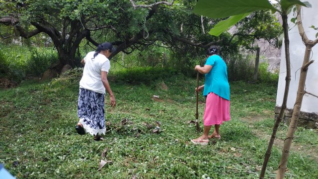 ඩෙංගු මර්ධන වැඩසටහන 2020 මැයි