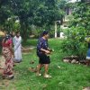 ඩෙංගු මර්ධන වැඩසටහන 2020 මැයි