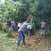 ඩෙංගු මර්ධන වැඩසටහන 2020 මැයි