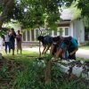 ඩෙංගු මර්ධන වැඩසටහන 2020 මැයි